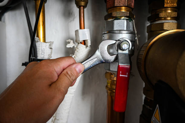 Best Clogged Drain Plumber  in Toppenish, WA